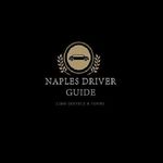 NaplesDriver Guide